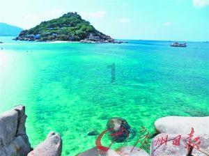 十六岁那年的一株月季花 阅读答案 作者：佚名